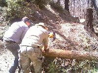 Chainsaw work