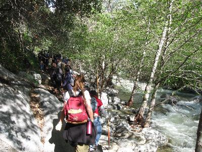 Working along Lower Bear Creek Trail