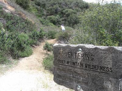 Sheep Mountain Designated Wilderness