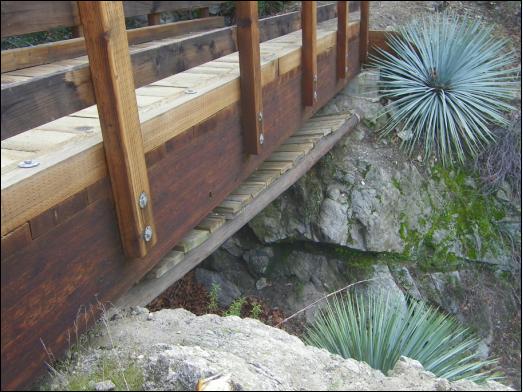 Old bridge under John Seales Bridge