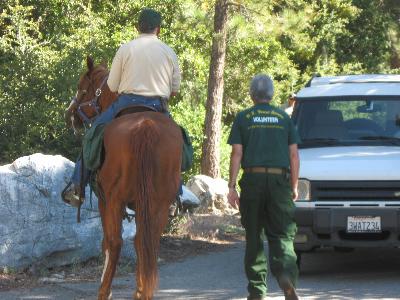 Horses and mules working at Crystal Lake