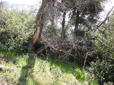 The first major trail blockage
