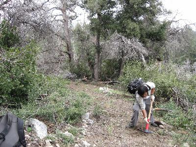 Tread work redefines the trail