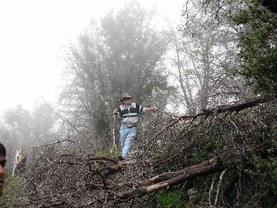 Bernie cleared the trail around three deadfalls