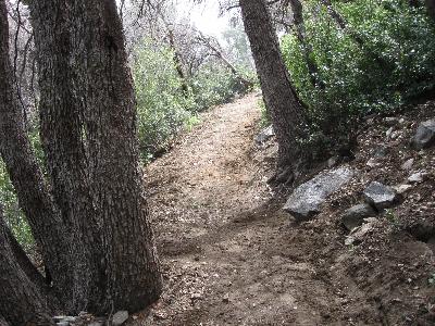 Fully restored trail section
