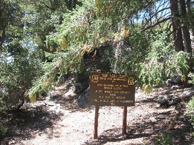 The Wawona trailhead