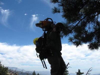 Carrying the chainsaw