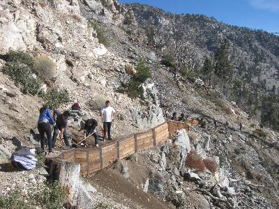 Bucking with a crosscut saw