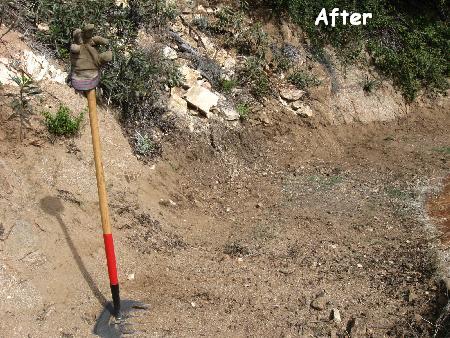 The same section now cleared