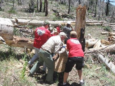 Large bucked trunk gets shoved off of the trail