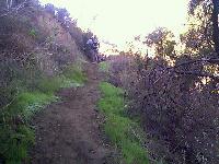 Hiking the trail