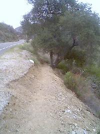 Trail Work Before