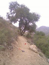 Trail Work After
