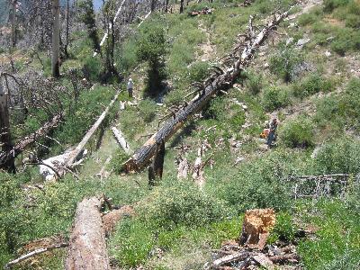 Searching for the rest of the trail