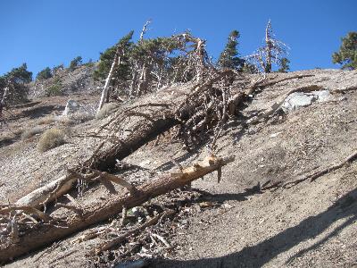 Some of the remaining obstructions to remove