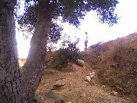 Illegal usage trail work