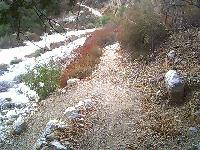 Switchback