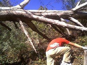 Climbing to attach chain