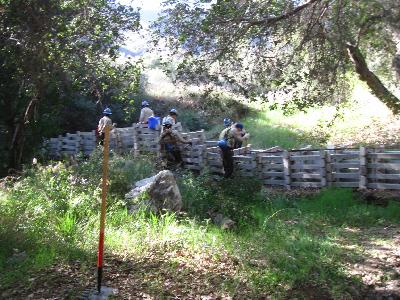 The CCC clearing growth