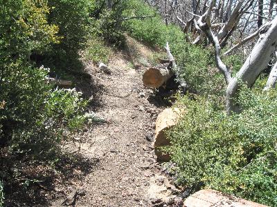 Part of the reworked trail