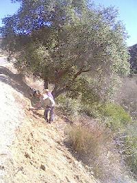 Trail Work After
