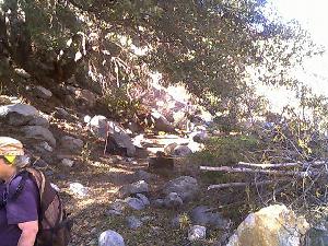 Trail section completely cleared up