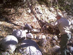 Wayne cuts up tree branches and hauls them away