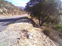 Trail Work Before