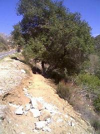 Trail Work After
