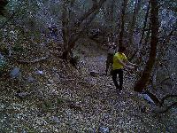 Removing handing branches