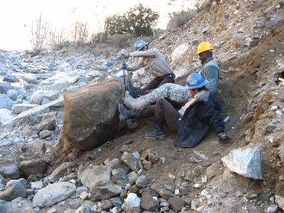 Removing a large boulder from the trail