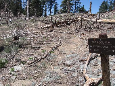 The junction of Islip, Windy Gap, Big Cienega