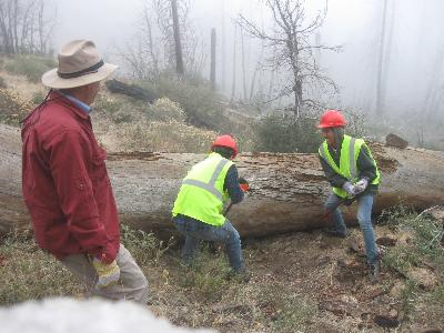 Mt. SAC volunteers work to clear the bucked section
