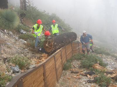 Mt. SAC volunteers remove debris from Sutter Wall