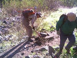 Rocks get removed