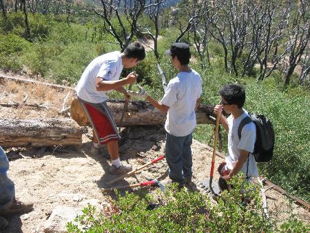 Volunteers use rock bars to leverage bucked sections off of trail
