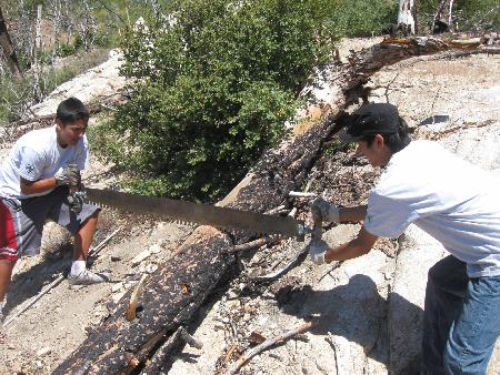 Crosscut saw gets used