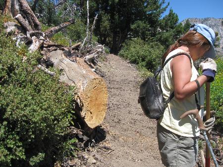 A long section of the trail completely cleared