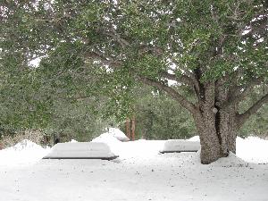 Crystal Lake Recreation Area in the snow