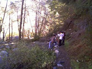 Cutting brush on Lower Bear Creek Trail