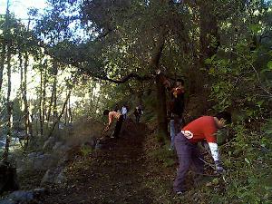 Widening the trail and removing low hanging branches
