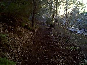 When we were finished the trail looks great!