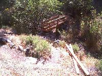 Southern Pacific Rattler