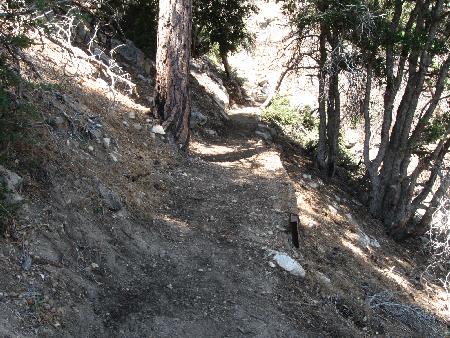 Another section of reworked trail